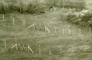 Minenfelder mit Minengasse an der innerdeutsche Grenze 1963