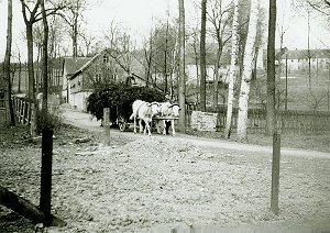 Mödlareuth 1952