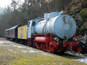Historischer Zug mit Dampflokomotive