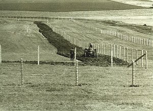 Spurensicherungsstreifen 1963