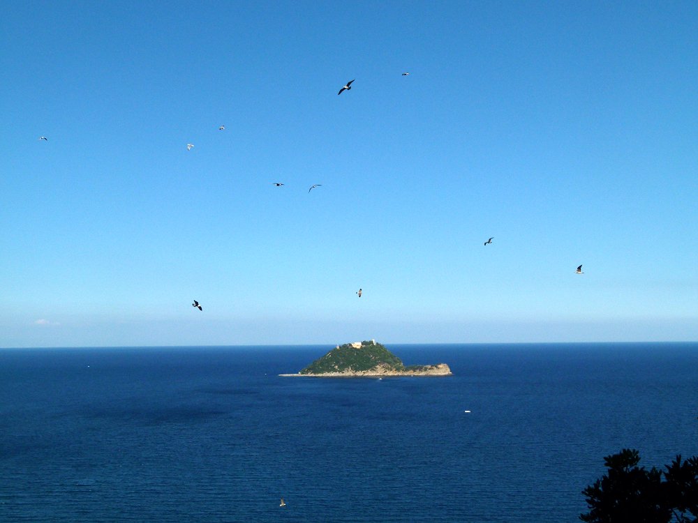 Möwenkolonien auf der Insel Gallinara