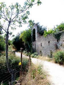 Alte Mauer mit Portal