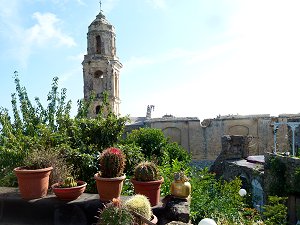 Kakteen und Kirchenruine