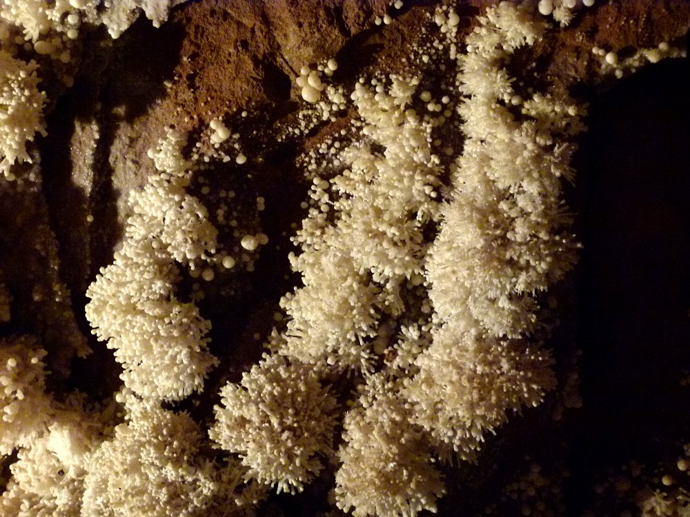 Kalksinterbüschel in der Tropfsteinhöhle Toirano