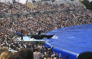 Seaworld