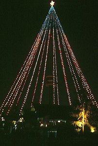 San Diego - Seaworld
