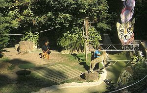 San Diego - Zoo