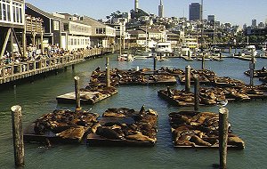 Fisherman's Wharf