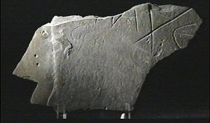 Stein mit Artus-Inschrift gefunden bei Tintagel