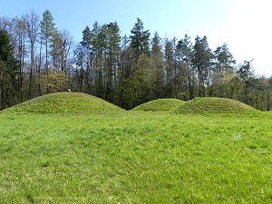 Keltisches Grabhügelfeld bei Litzendorf