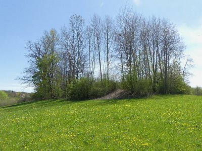 Keltenzeitliches Hünengrab in Laineck bei Bayreuth