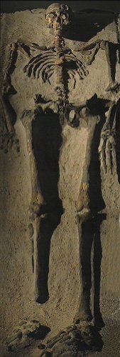 Skelett des "Fürst von Hochdorf"