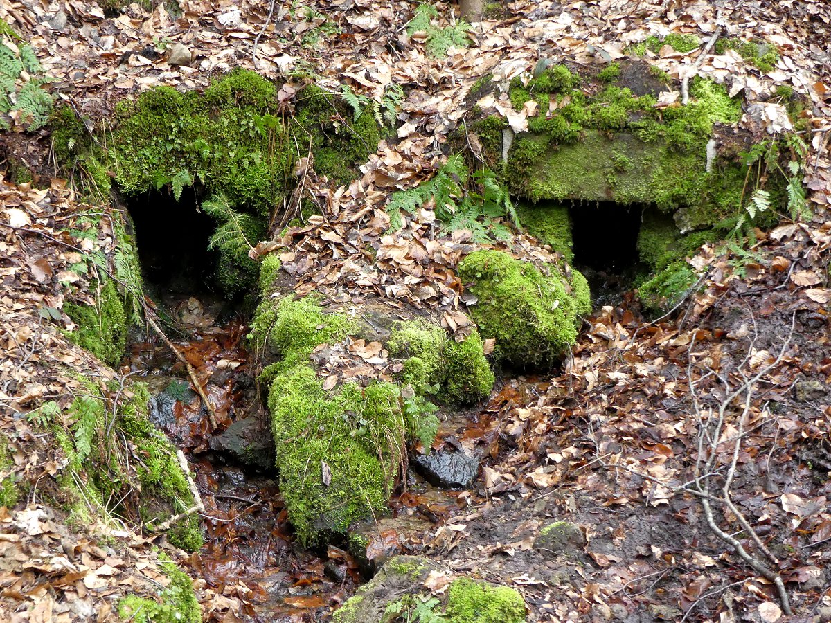 Dreibrunnen-Quellen