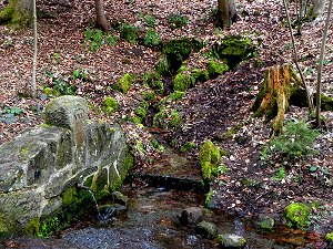 Dreibrunnenbach - Dreibrunnen-Quellen