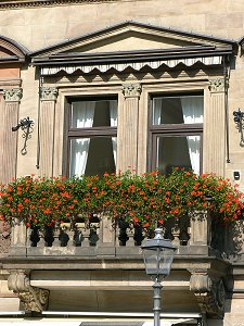 Geranien am Fenster...