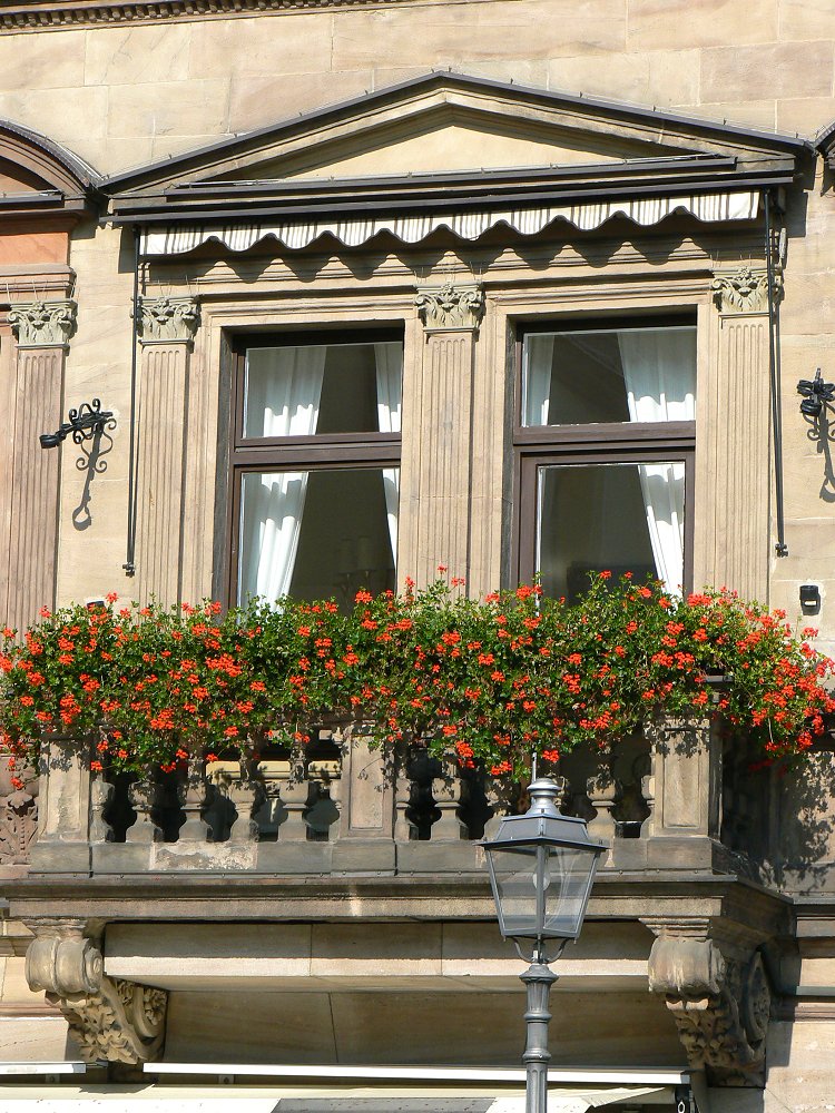 Geranien am Fenster