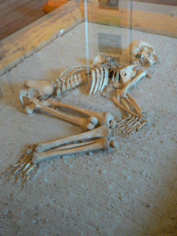 Skelett, gefunden bei archäologischen Ausgrabungen