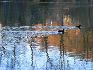 Loket - Elbogen - Der Fluss Eger