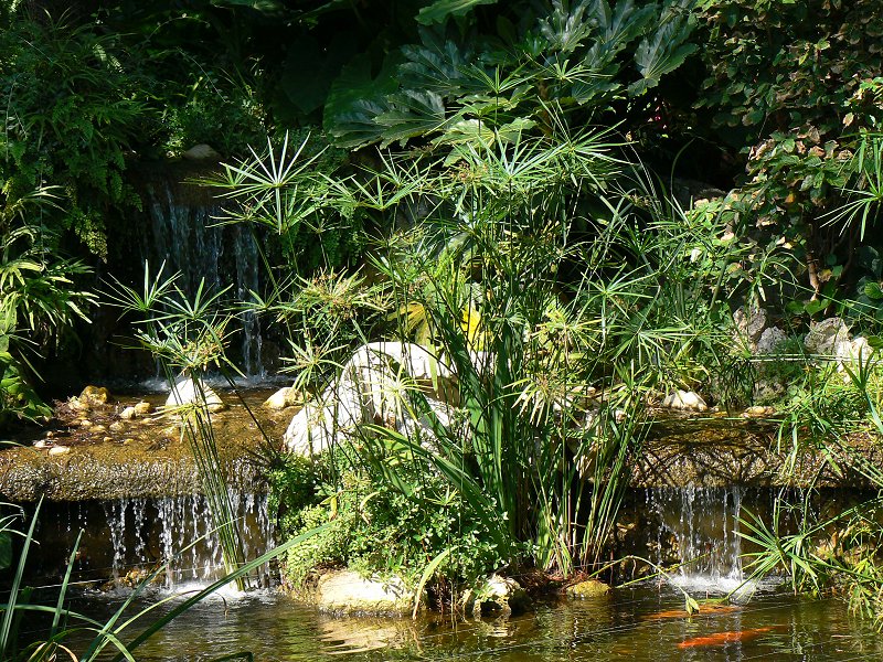 Jardins de St-Martin in Monaco