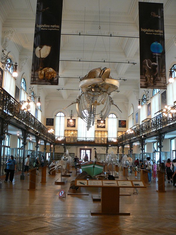Im Ozeanographischen Museum Monaco