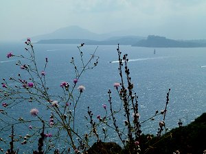 Aussicht am Kap von Miseno Richtung Procida und Ischia