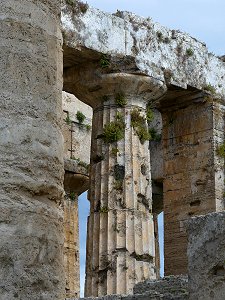 Dorische Säulen im Neptuntempel (Poseidontempel) von Paestum