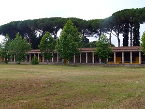 In der Großen Palästra, dem Campus, in Pompeji