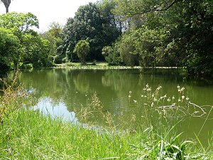 Englischer Landschaftsgarten Caserta