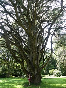 Impressionen aus dem Schlosspark Caserta