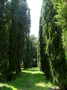 Impressionen aus dem Schlosspark Caserta