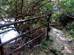 Spazierwege am Königin Johanna Bad bei Sorrento
