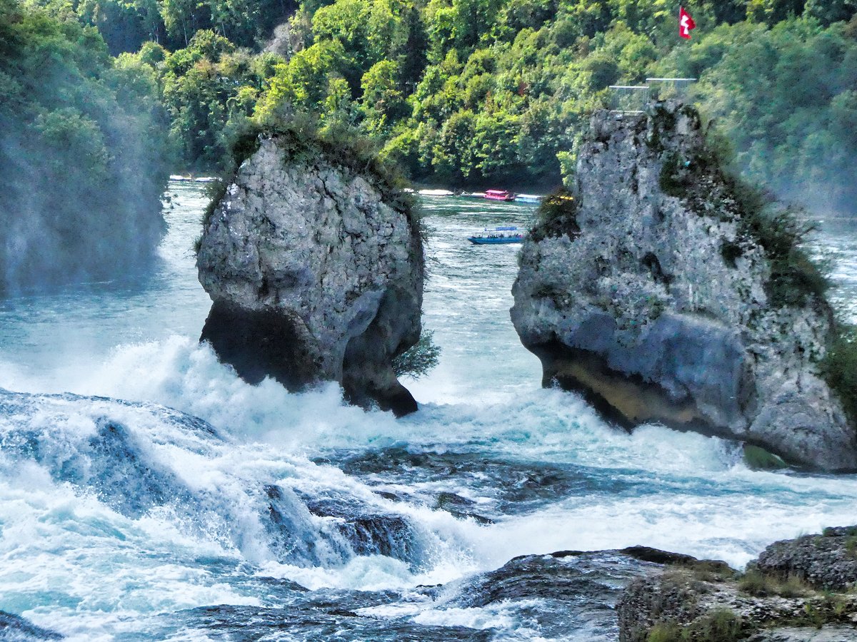 Wasseramsel am Rheinfall
