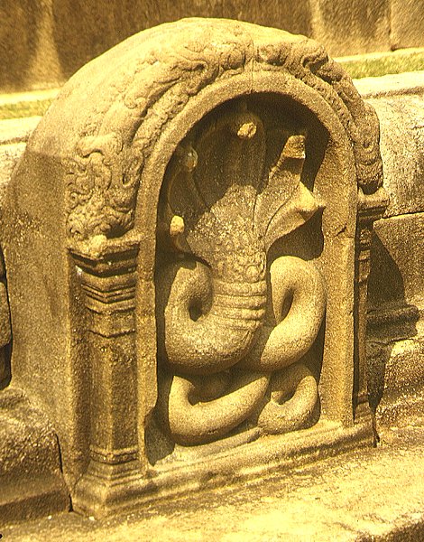 Fünfköpfige Kobra am Kuttam Pokuna