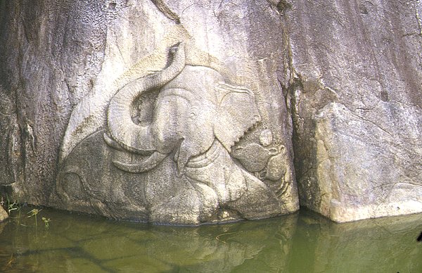 Elefanten-Relief am Insurumuniya-Tempel