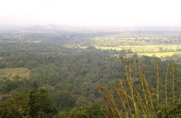 Aussicht vom Sigiriya-Felsen