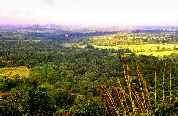 Aussicht vom Sigiriya-Felsen
