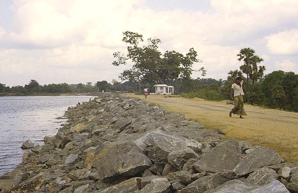 Staudamm Parakrama Samudra