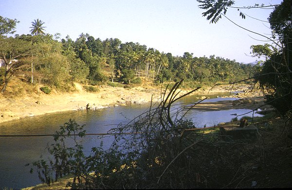 Am Mahaweli Ganga nördlich Kandy