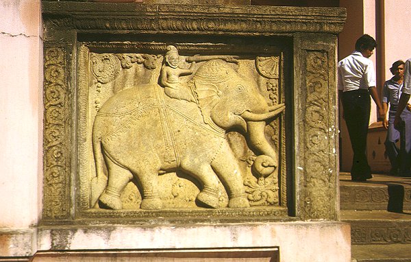 Elefanten-Relief am Dalada Maligawa