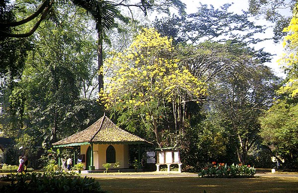 Kandy - Park und Botanischer Garten Peradeniya