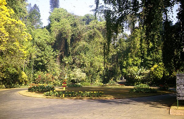 Peradeniya