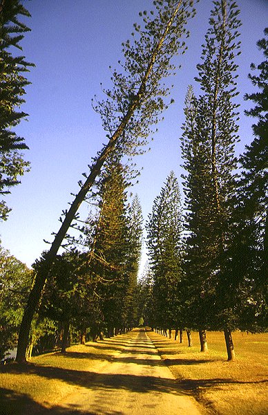 Peradeniya