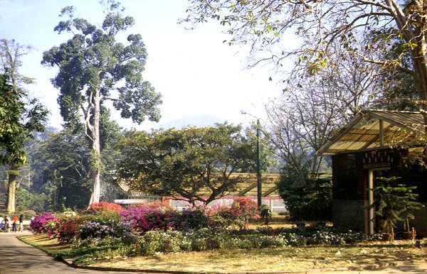 Peradeniya