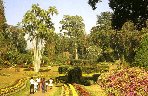 Kandy - Park und Botanischer Garten Peradeniya