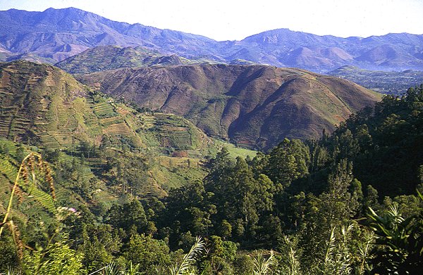 Bergland bei Nuwara Eliya