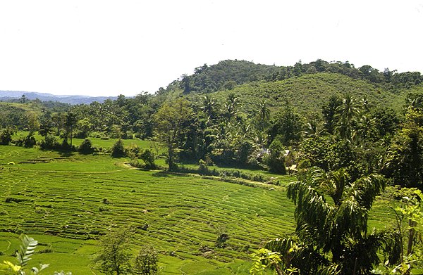 Hügellandschaft bei Ratnapura
