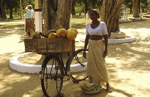Kokosnußverkäuferin bei Ruvanveli