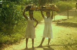 Holzsammlerinnen bei Ruvanveli