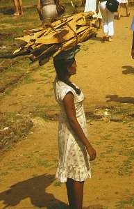 Holzsammlerin bei Ruvanveli