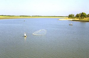Fischer in einer Lagune zwischen Madras und Mahabalipuram
